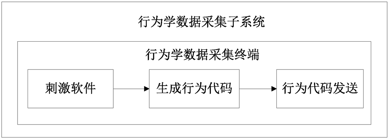 EEG and ERPs based brain cognitive nerve function assessment system and method