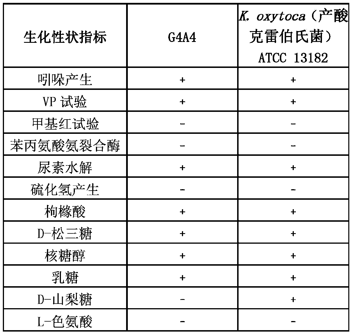 Klebsiella oxytoca and application thereof in allitol production