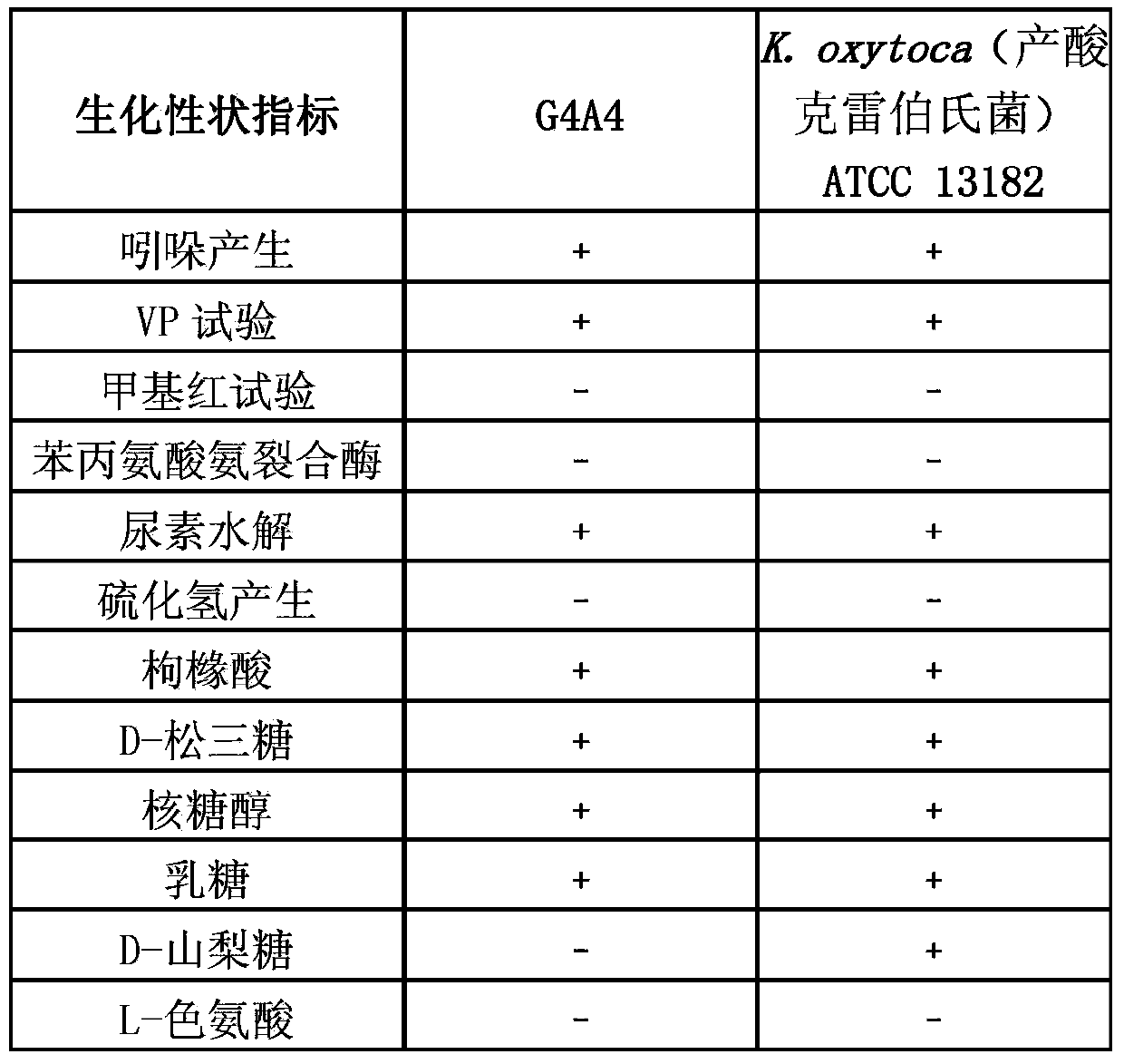 Klebsiella oxytoca and application thereof in allitol production