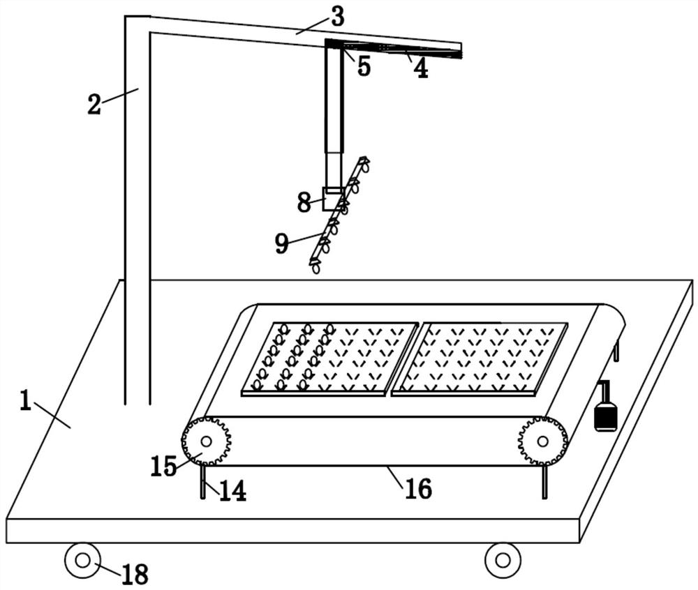 Automatic egg loading machine for poultry egg production and processing