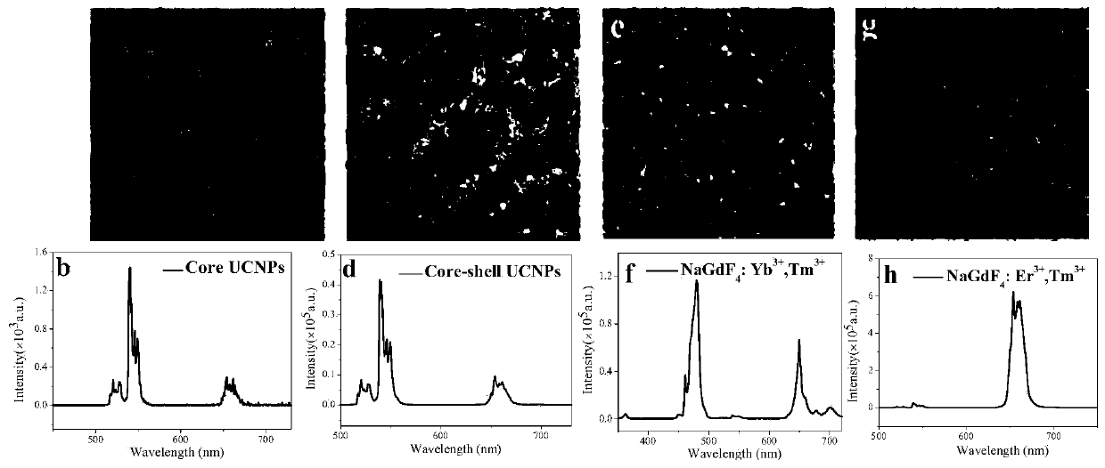 Double mode light-emitting water-based anti-counterfeiting ink, and preparation method and application thereof