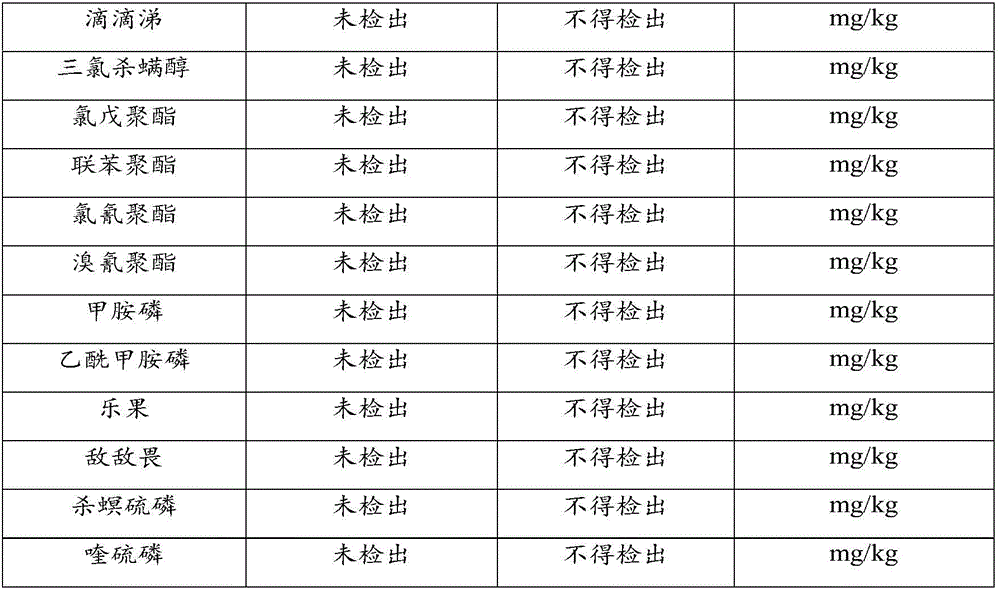 Sweet gynostemma pentaphylla tea and processing method thereof