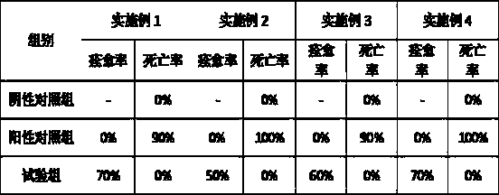 Traditional Chinese medicine composition for treating and preventing African swine fever