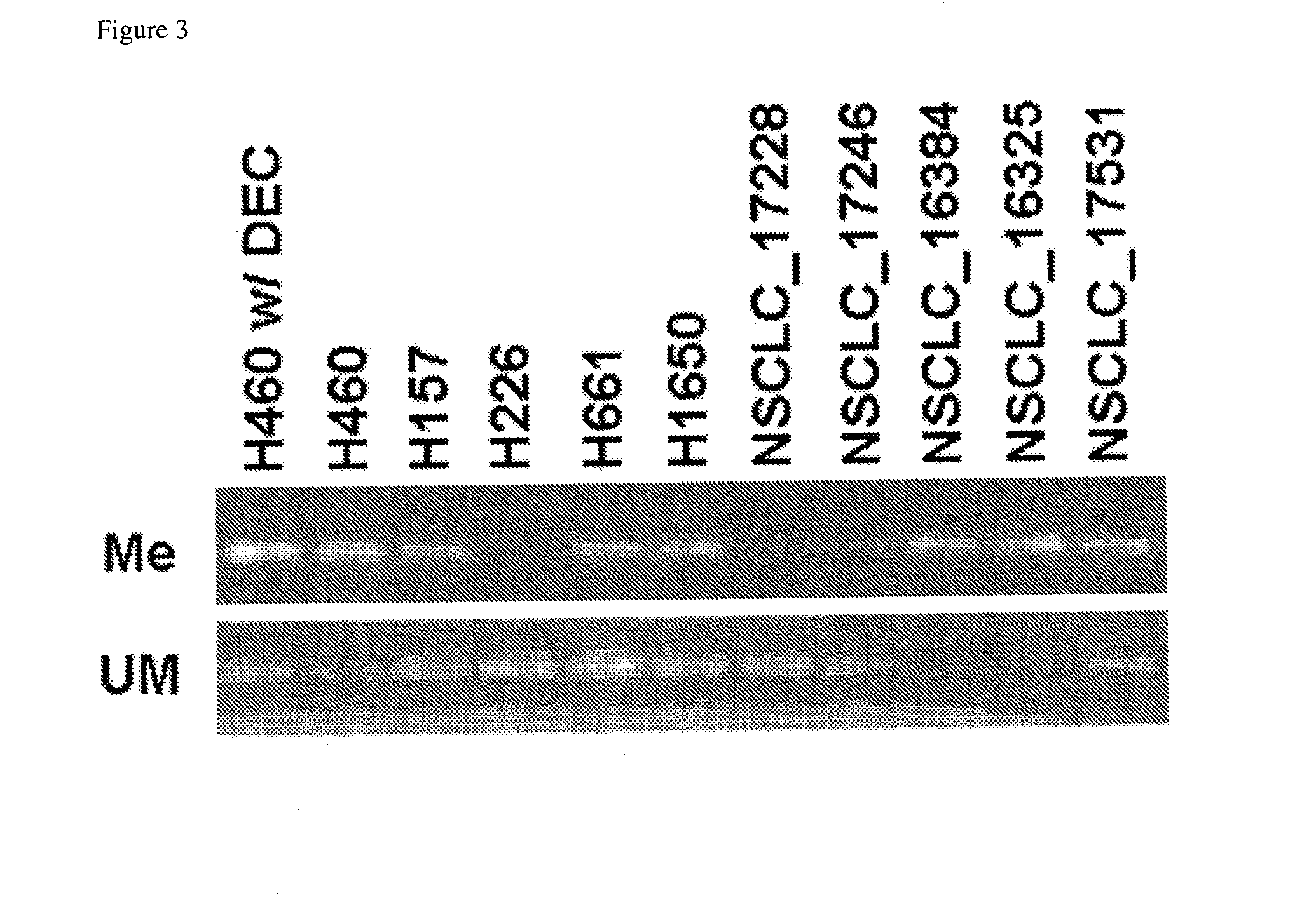 Combination therapy methods for treating proliferative diseases