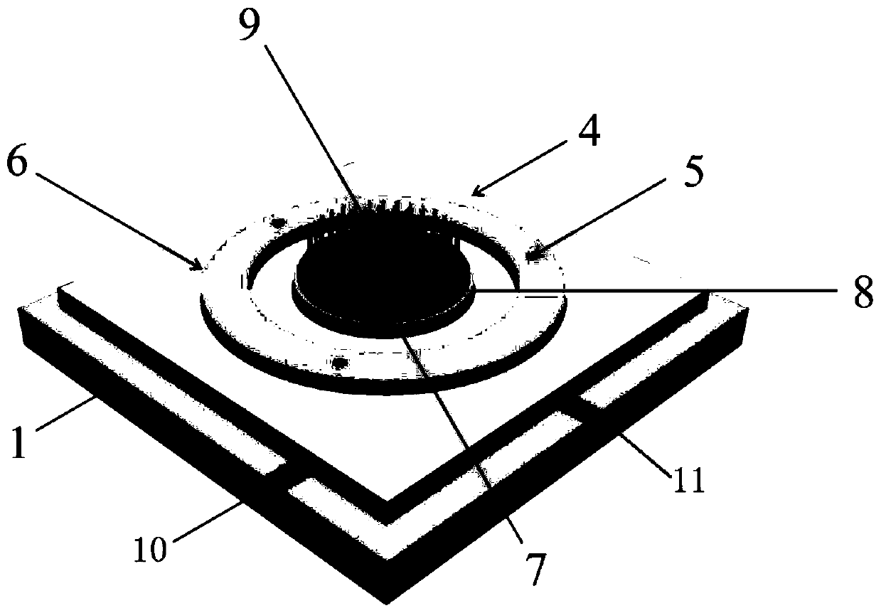 A nanometer cold cathode electron source with a double ring gate structure and its manufacturing method