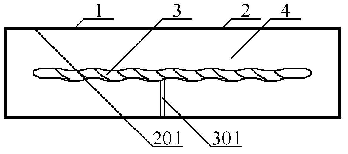 Siphunculus of human body and channel of human body