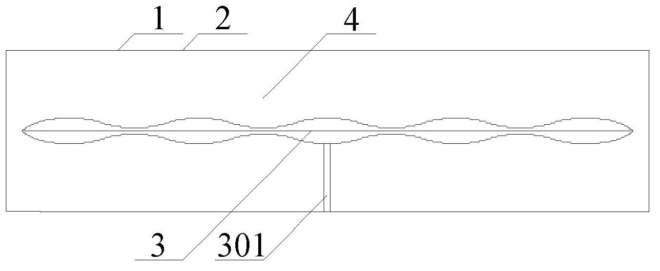 Siphunculus of human body and channel of human body