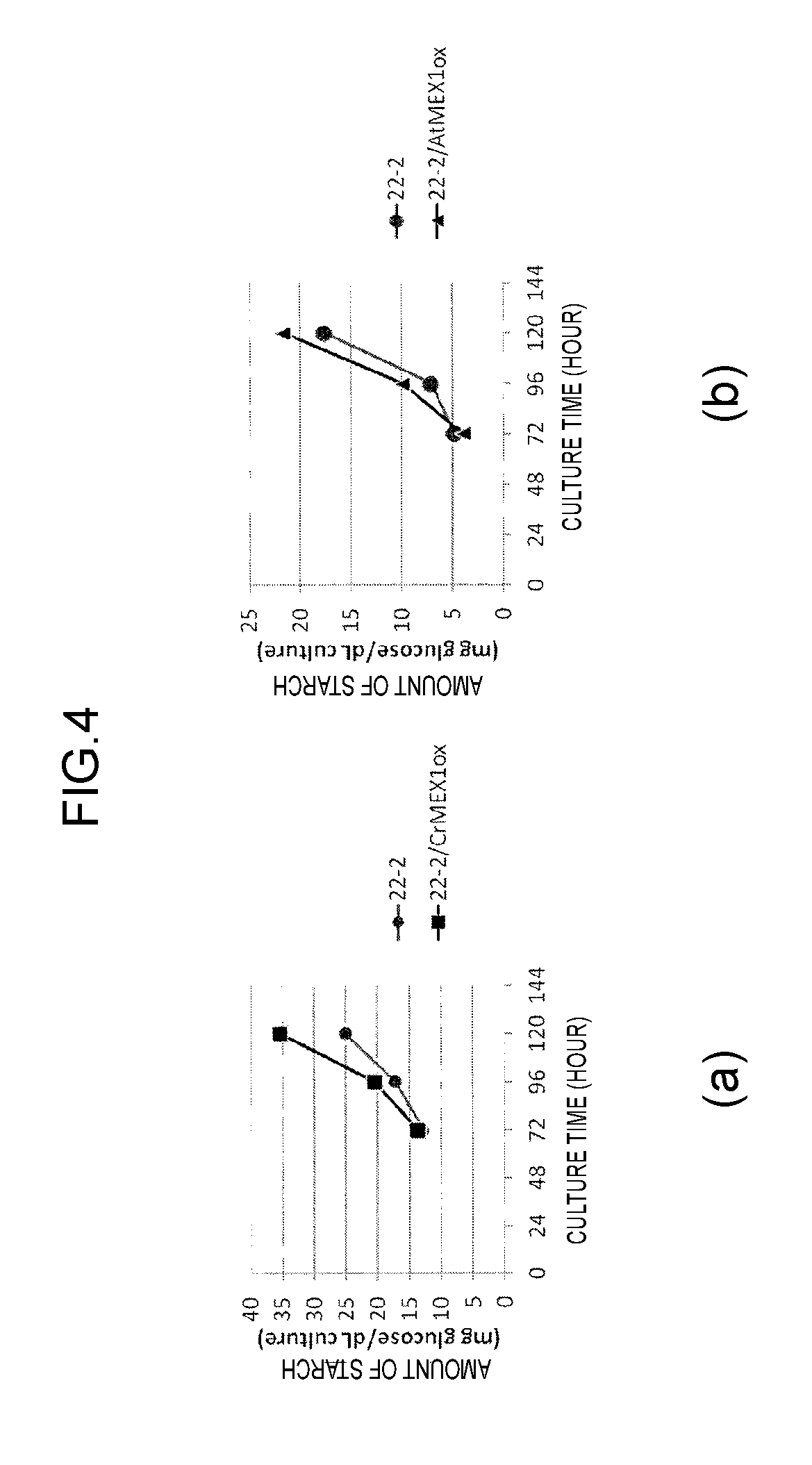 Algae and method for producing same, and method for producing biomass using said algae