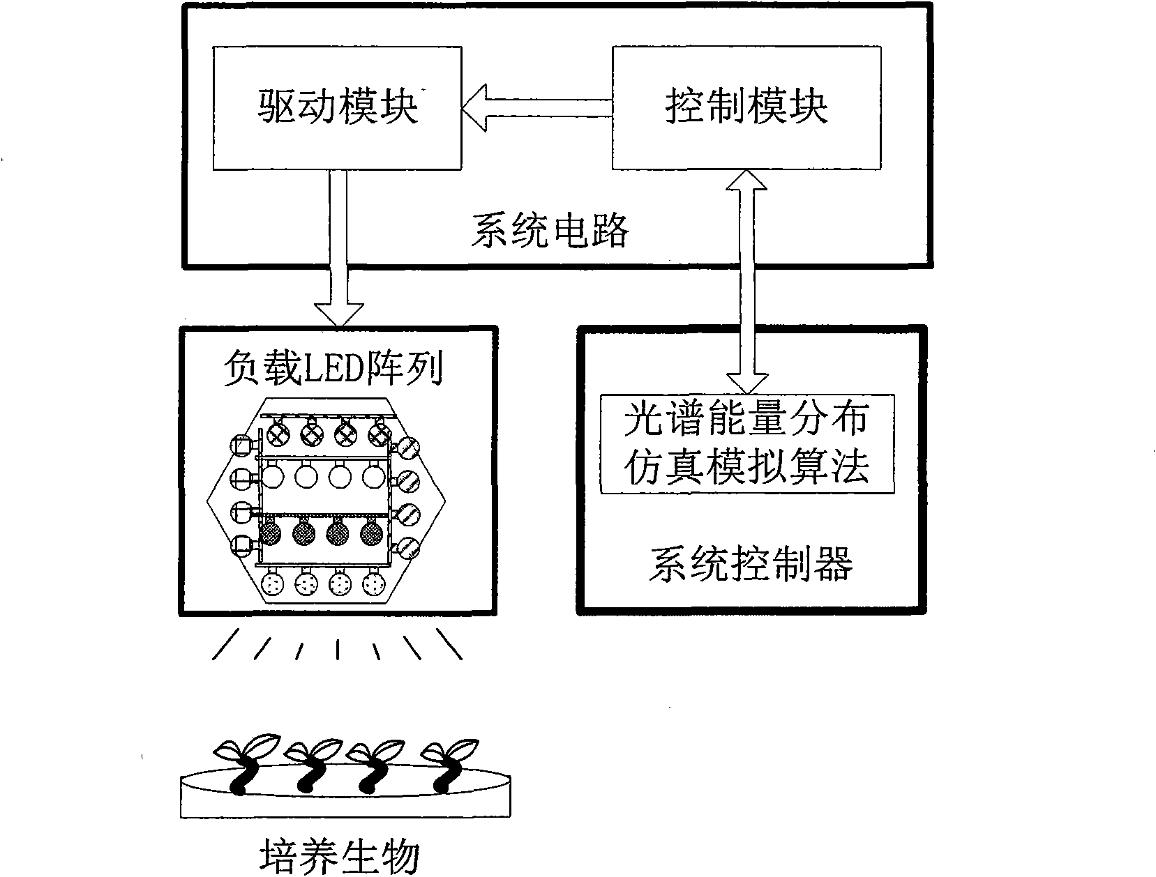 Special spectrum simulation illumination device for plant cultivation and simulation method