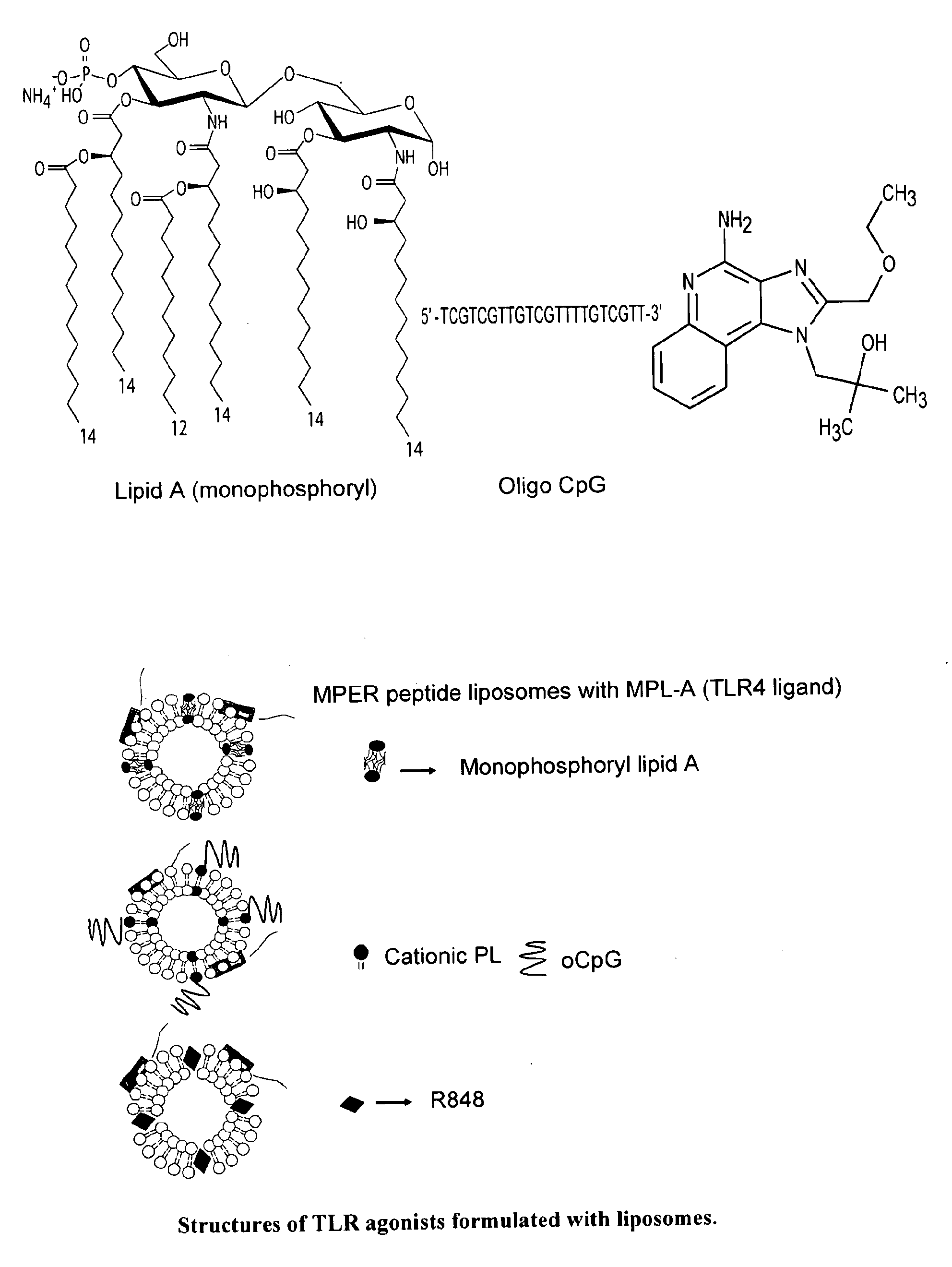 Formulation for inducing broadly reactive neutralizing Anti-hiv antibodies