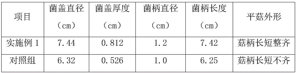 Oyster mushroom cultivation material