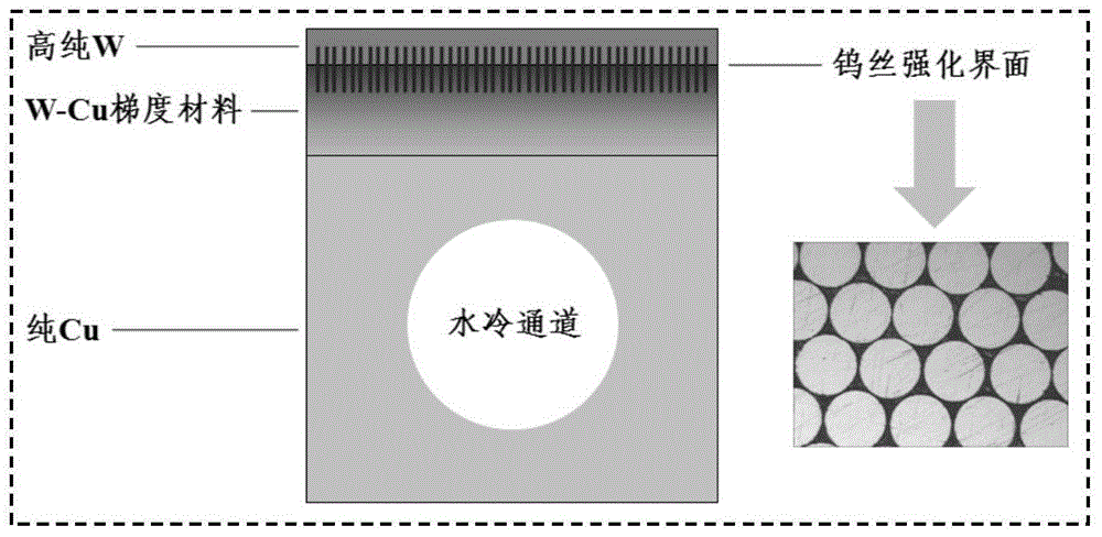 Divertor module and manufacturing method