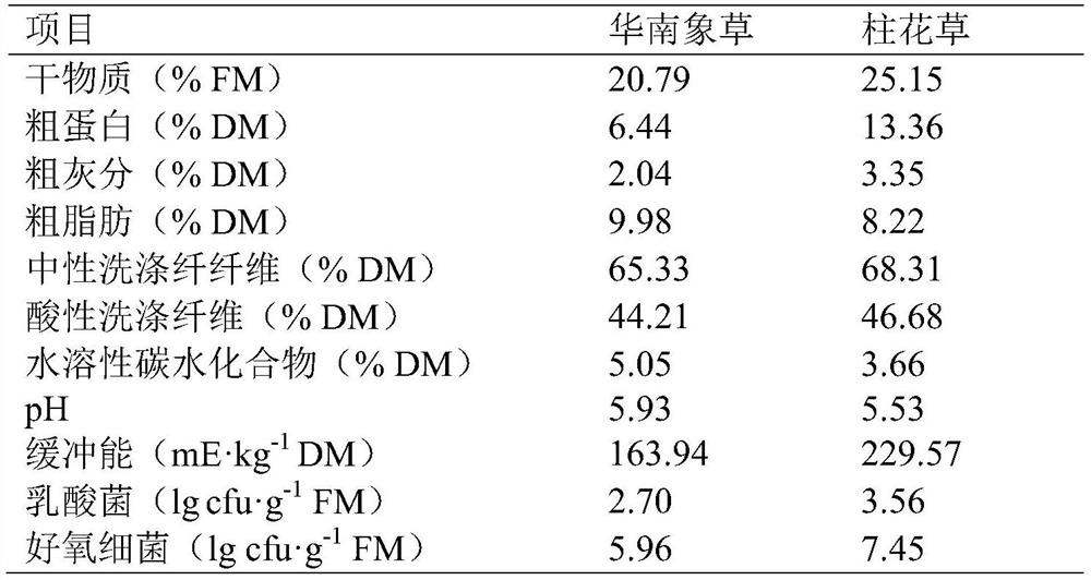 Oxygen-resistant lactobacillus plantarum and application thereof