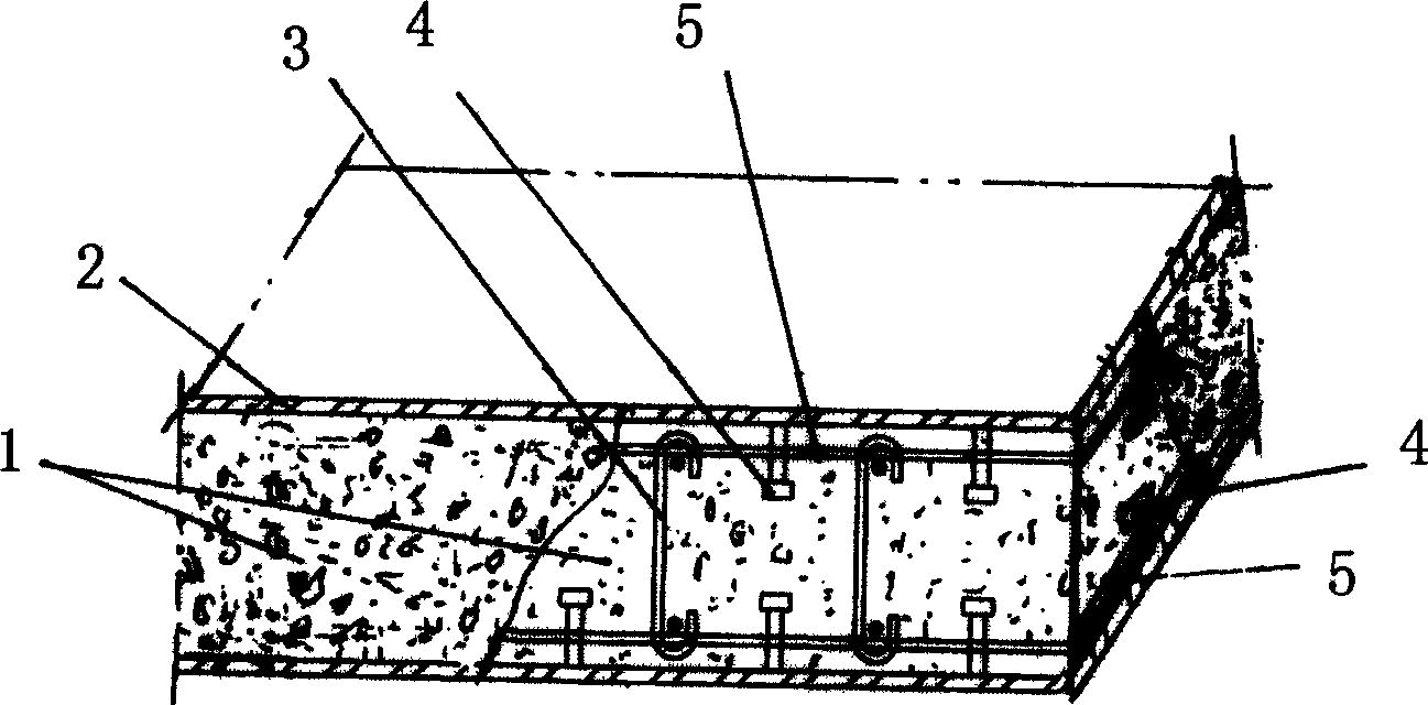 Steel plate-concrete composite lining