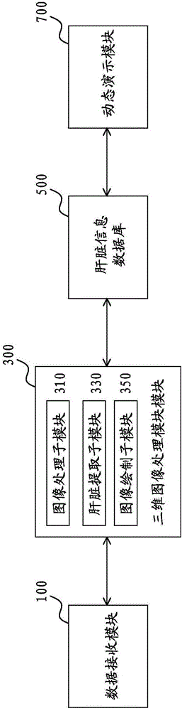 Big data-based liver three-dimensional image dynamic demonstration system