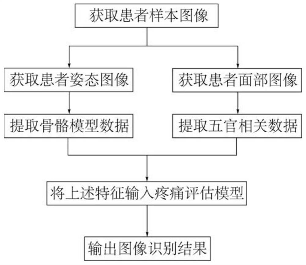 Visual identification pain grading evaluation method