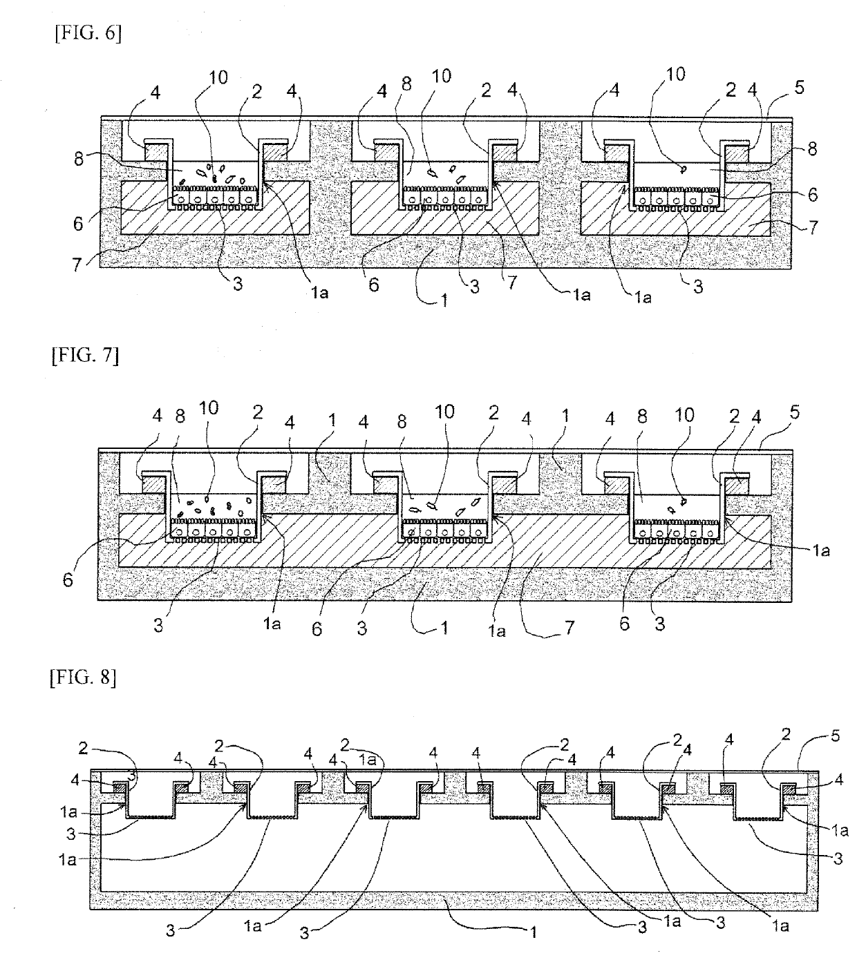 Co-Culture Device and Co-Culture Method for Bacterium Such as Anaerobic Bacterium and Epithelial Cells