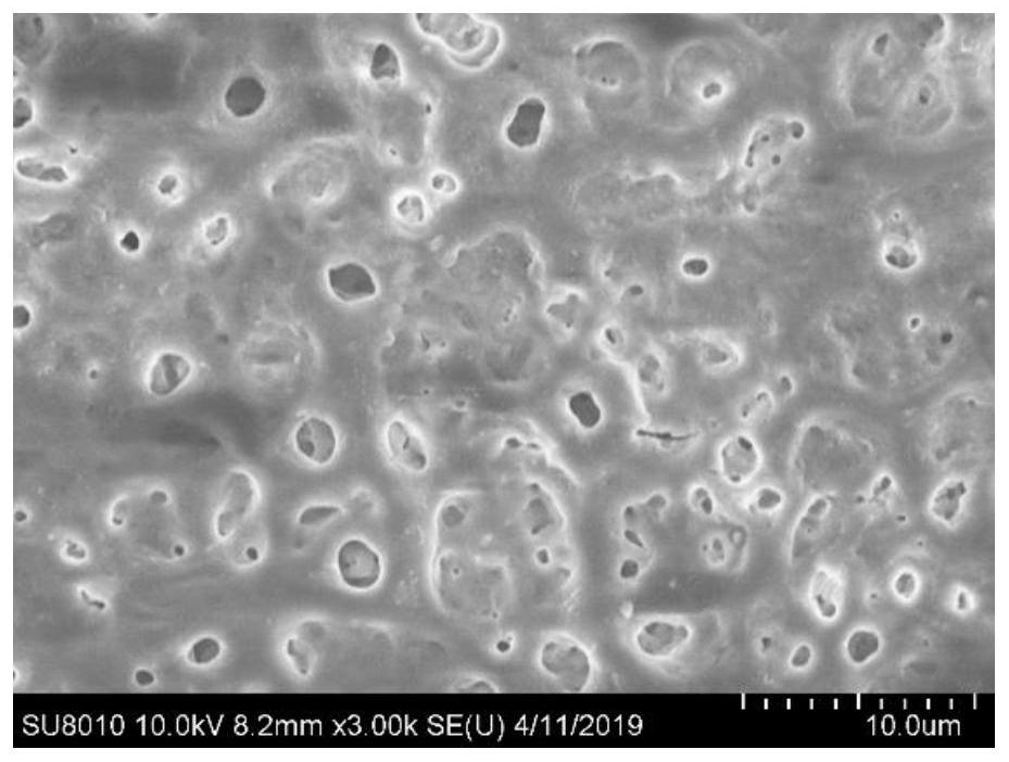 A Method for Quickly Introducing Functional Ions on Titanium Alloy Surface