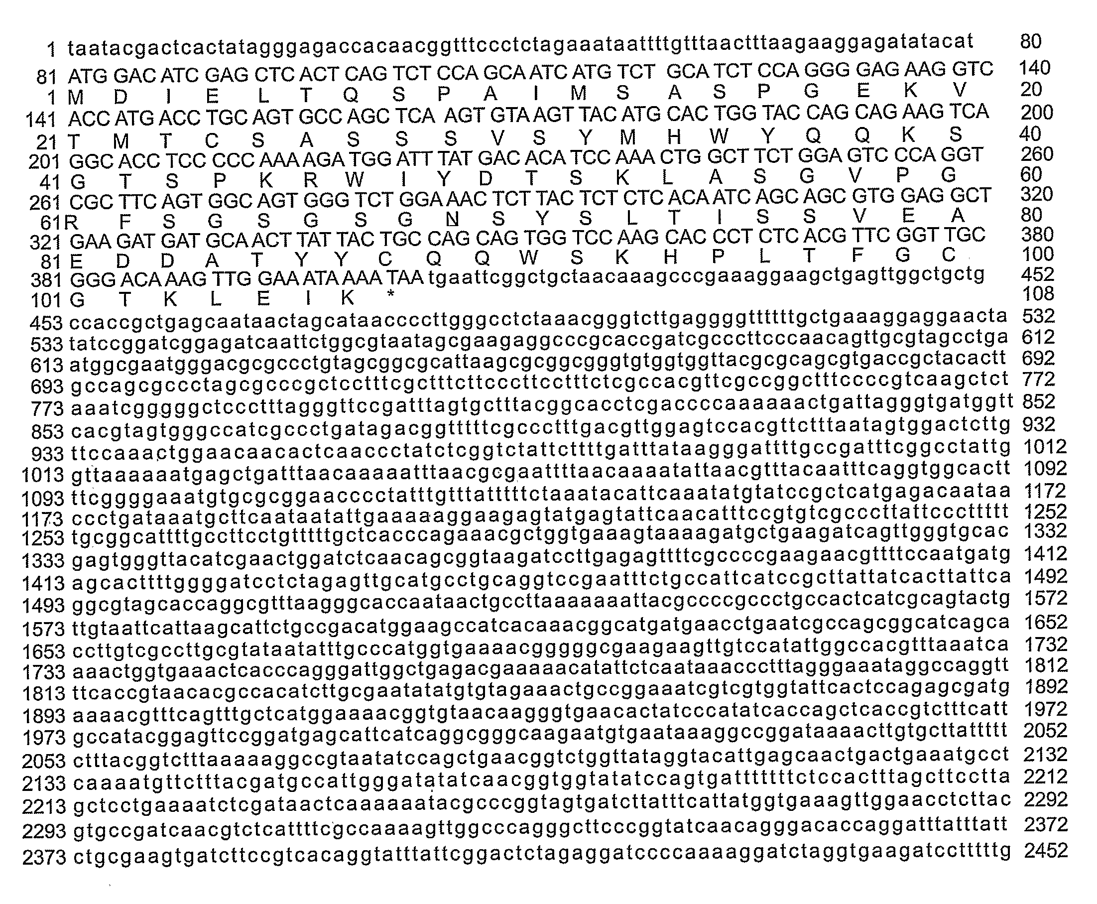 Polymer-Linked Pseudomonas Exotoxin Immunotoxin