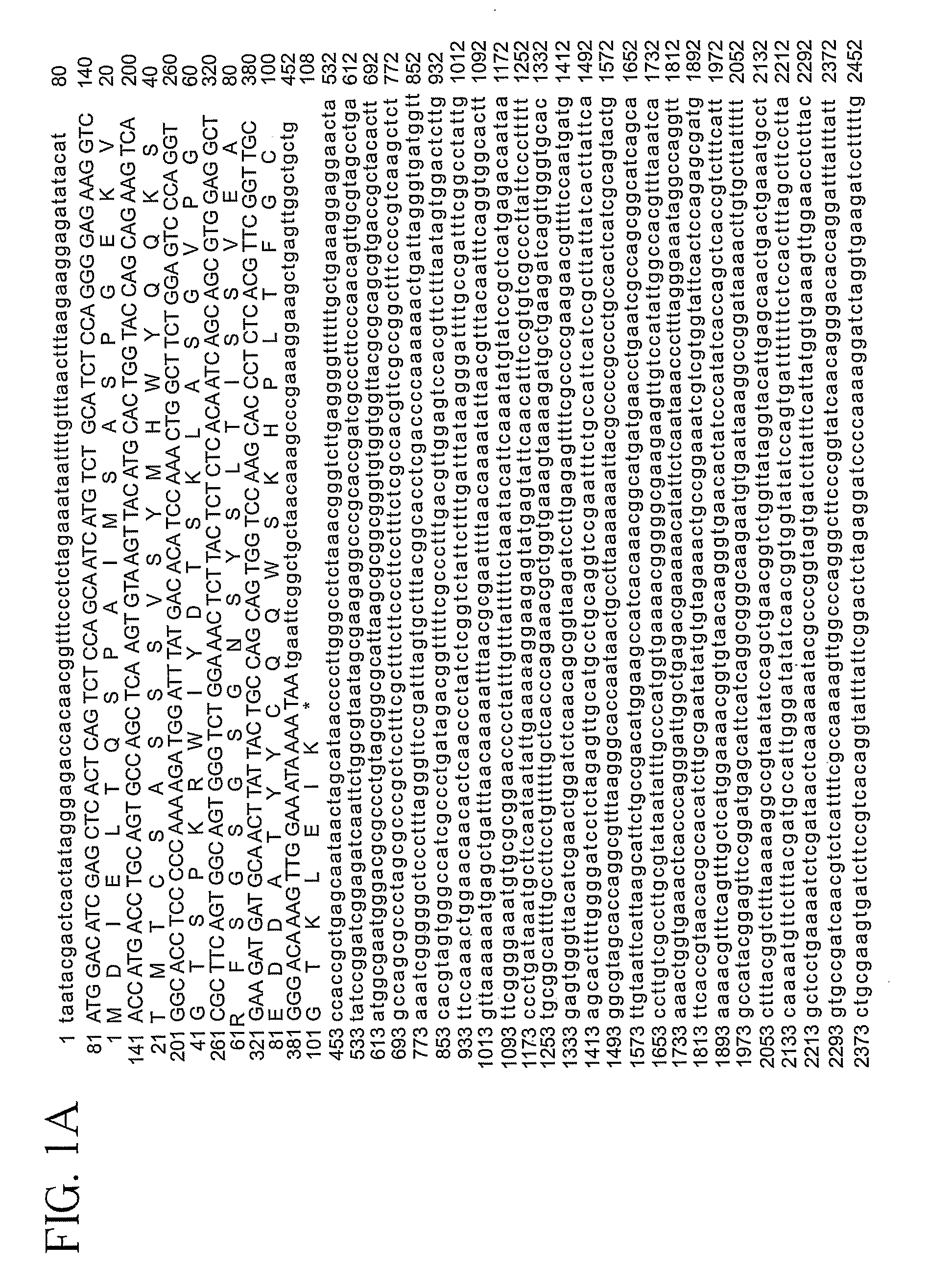 Polymer-Linked Pseudomonas Exotoxin Immunotoxin