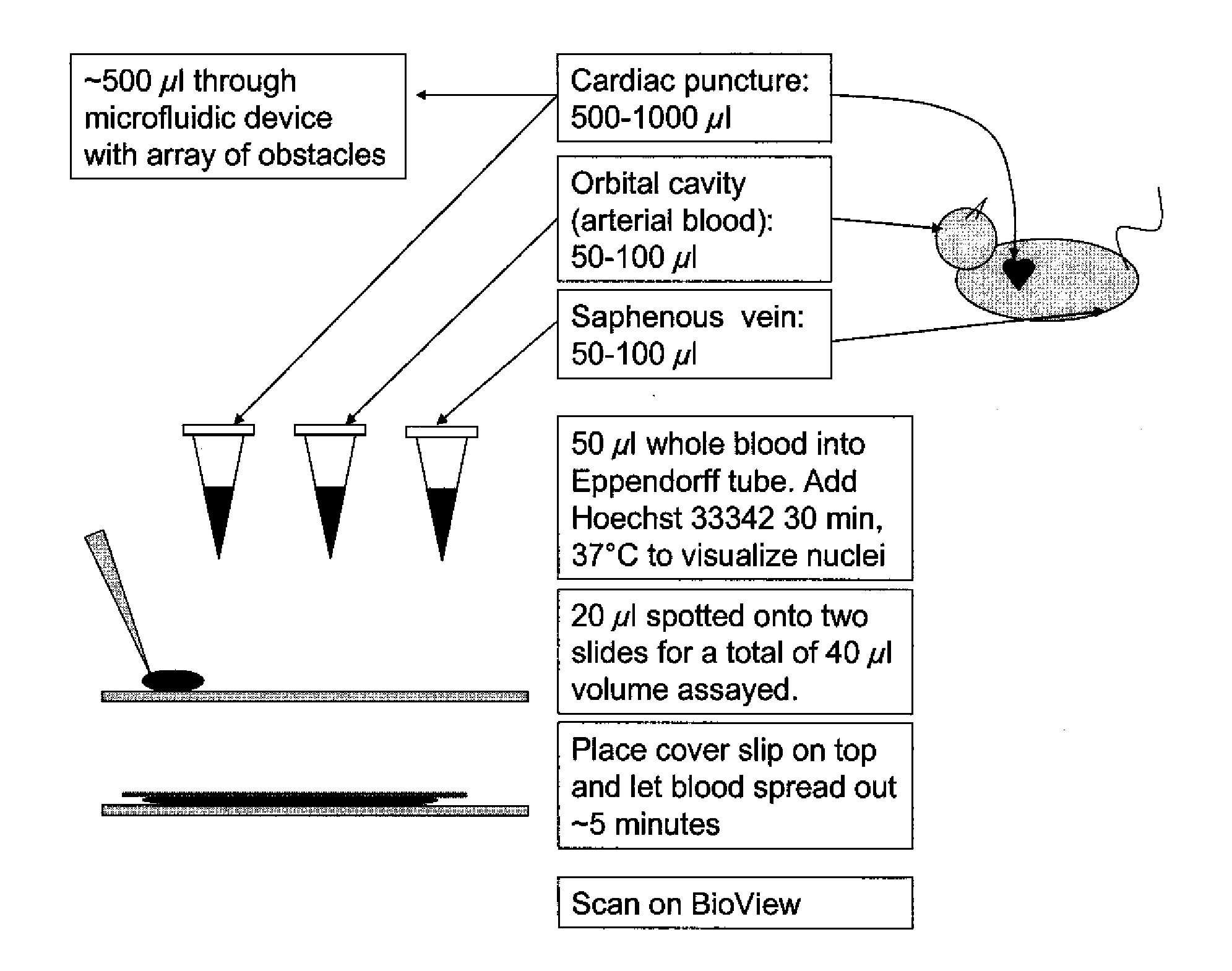 Methods for Diagnosing Cancer Using Samples Collected From A Central Vein Location or an Arterial Location