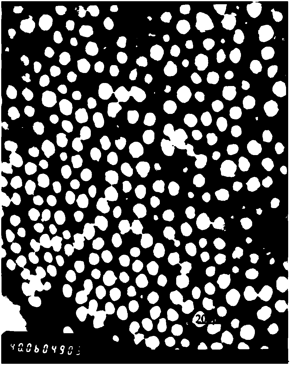 Styrene and acrylate latex and preparation method and application thereof