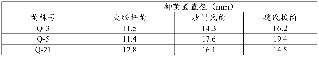 A kind of porcine lactic acid bacillus, probiotics, preparation method and application