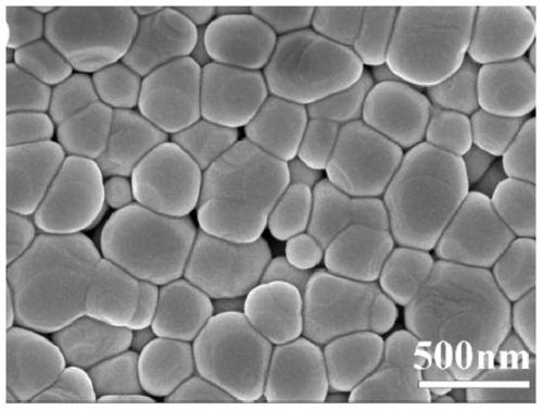 A kind of preparation method of bioactive zirconia dental ceramic material