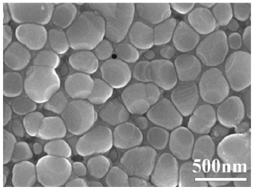 A kind of preparation method of bioactive zirconia dental ceramic material