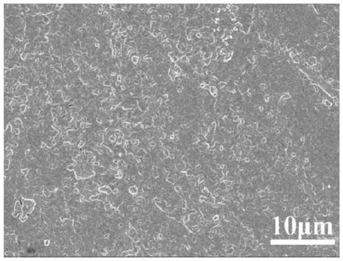 A kind of preparation method of bioactive zirconia dental ceramic material