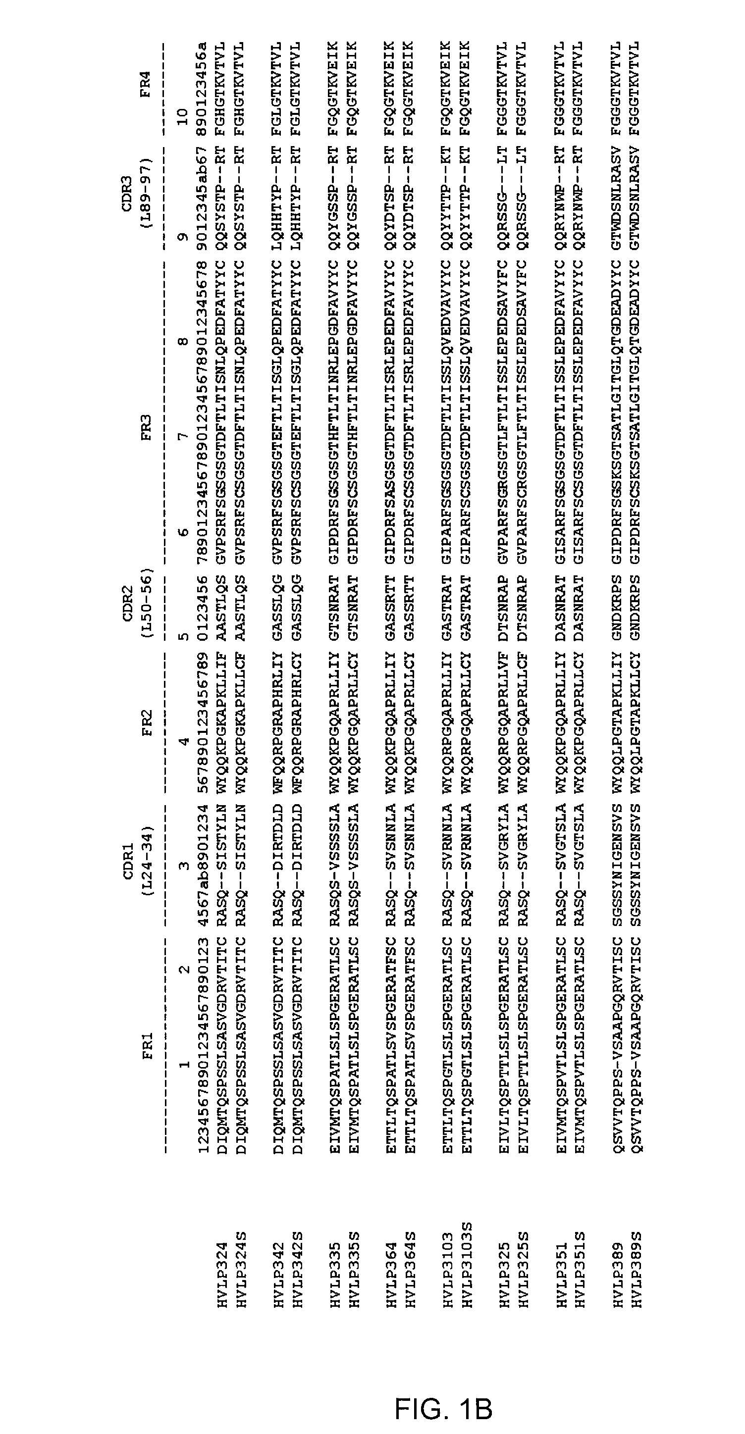 Engineering of immunoglobulin domains