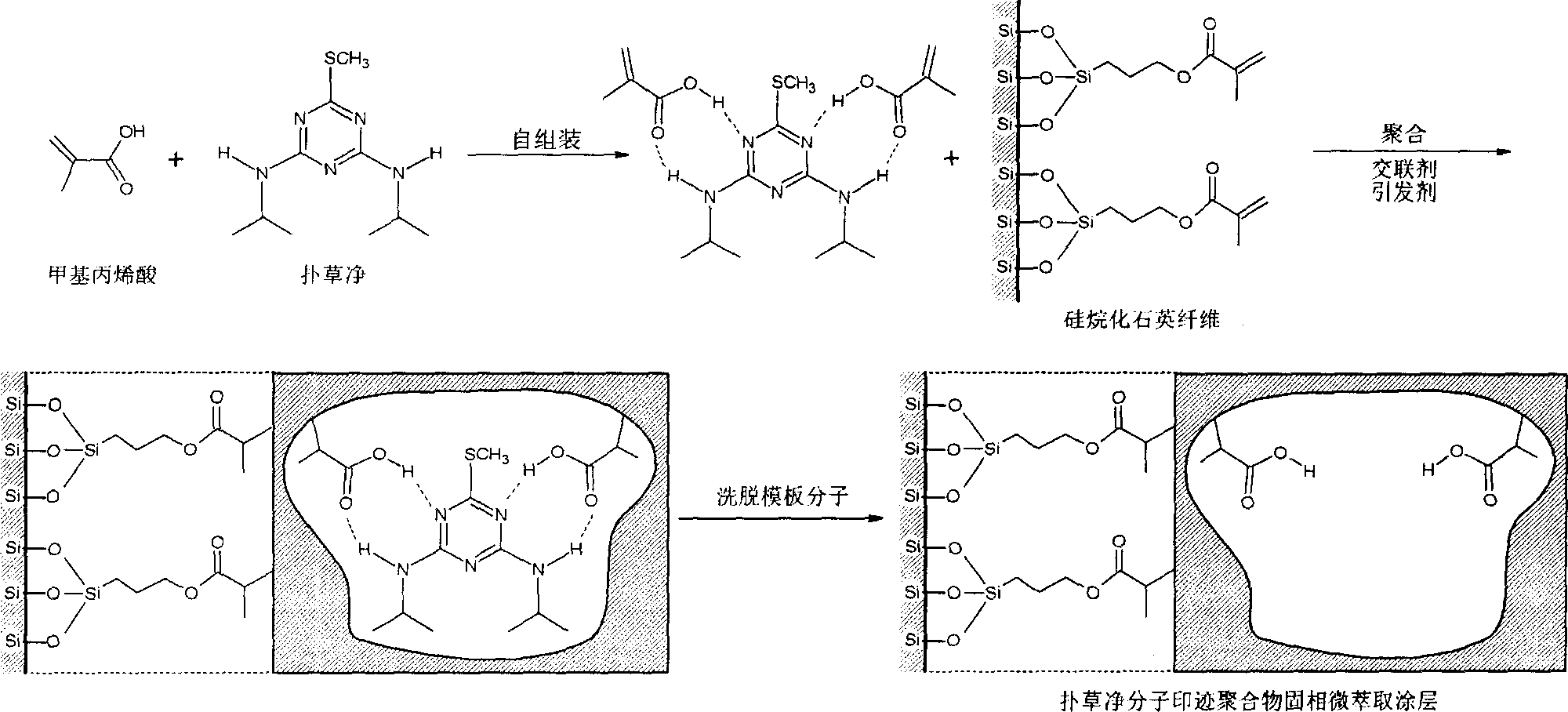 Molecular blotting solid phase microextraction coating preparation method