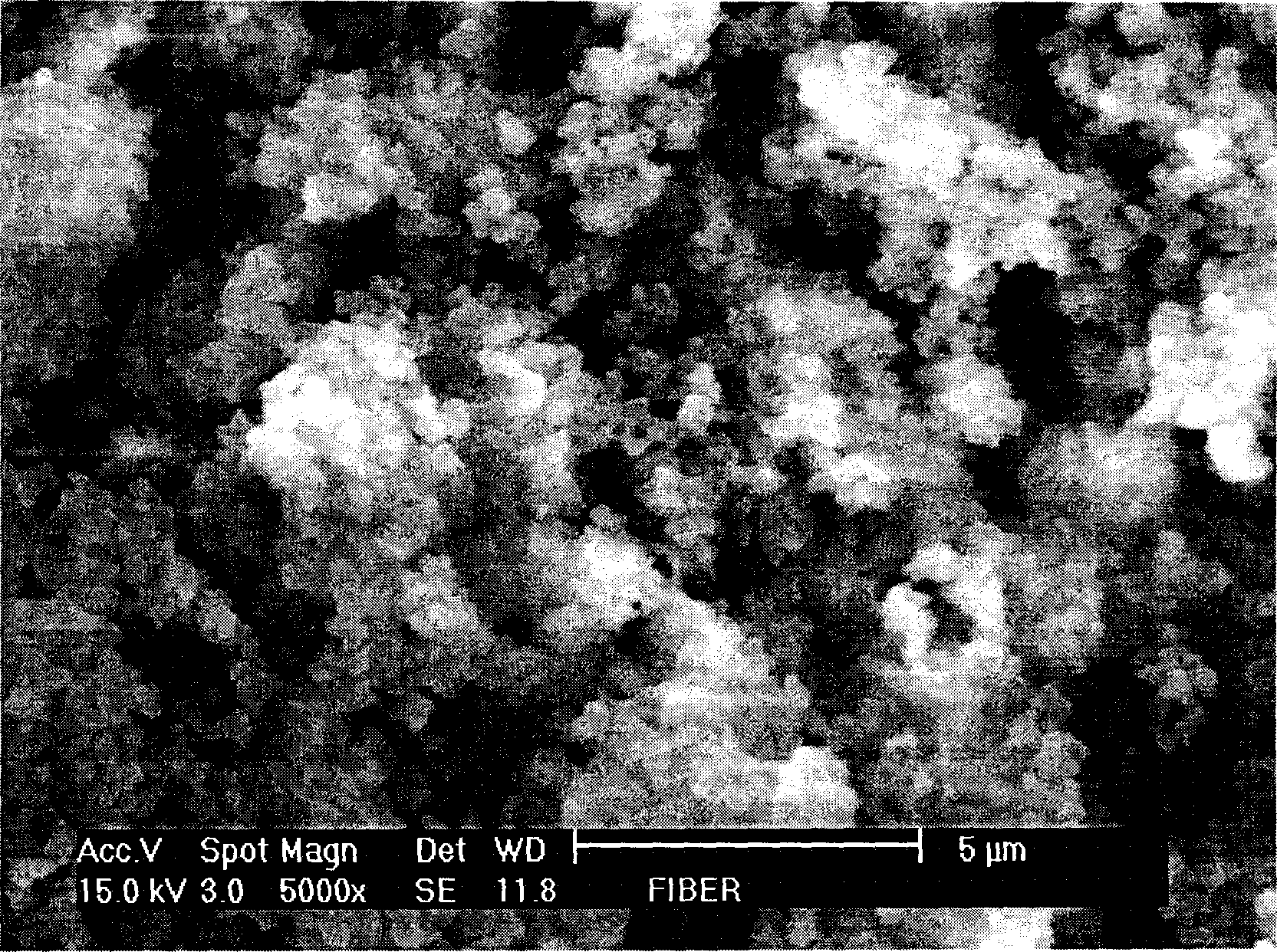 Molecular blotting solid phase microextraction coating preparation method