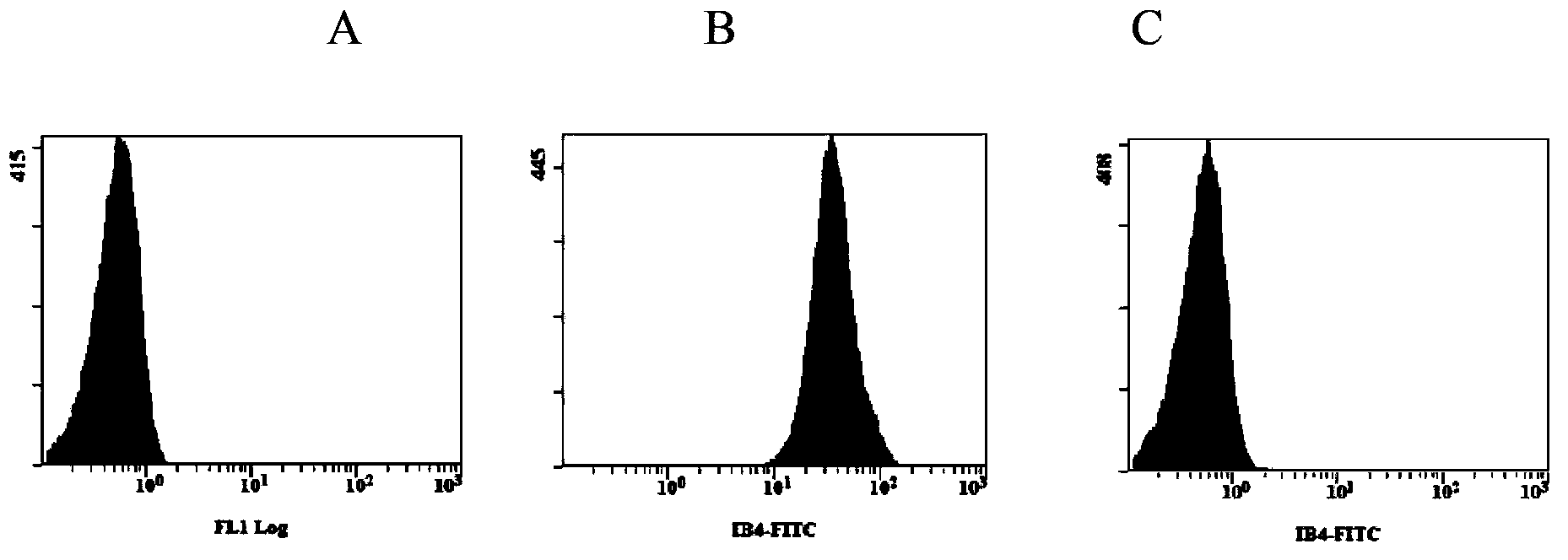 Method for clearing non-human animal skin heterologous antigen, and low immunogenicity non-human animal skin preparation method