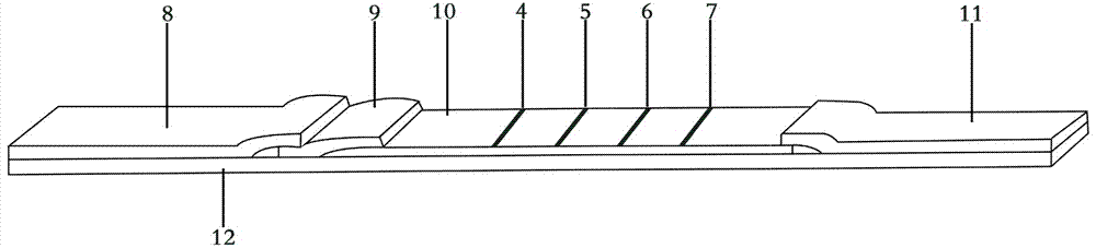 A kind of preparation method of Lily Prunus necrotic ringspot virus pnrsv semi-quantitative detection gold standard card