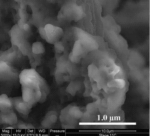 Method for preparing carbon nano tube/poly (3-hexyl) thiophene composite thermoelectric materials