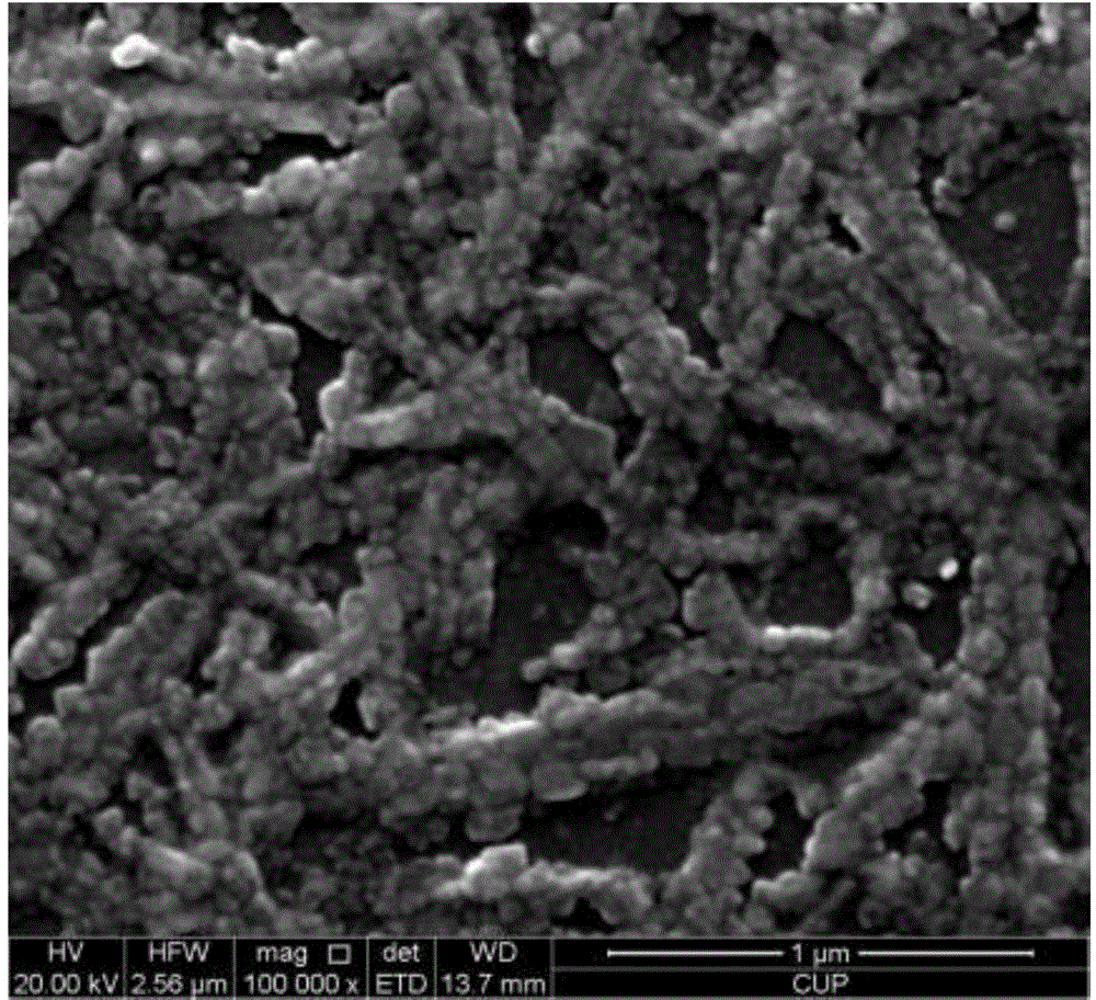 Perovskite thin film as well as preparation method and application thereof