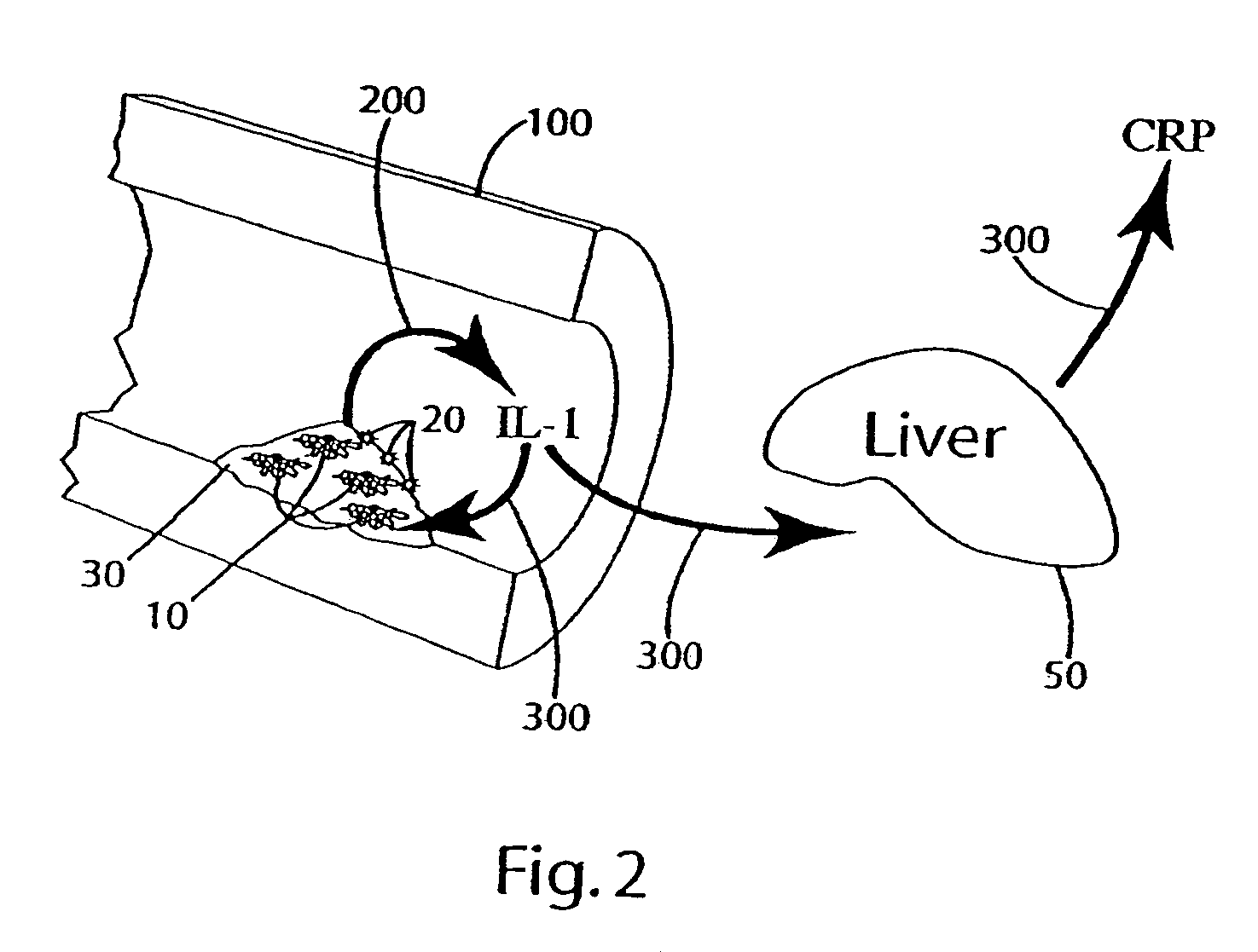 Cytokine modulators and related methods of use