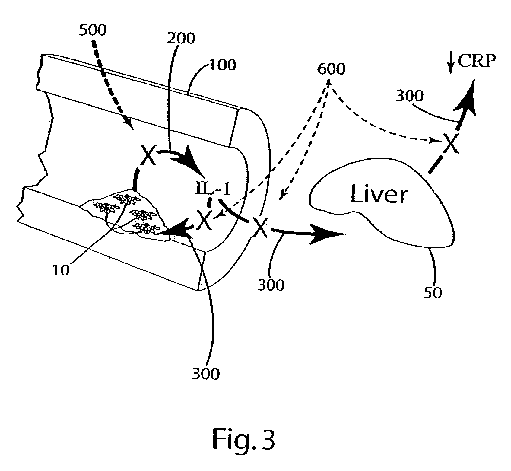 Cytokine modulators and related methods of use