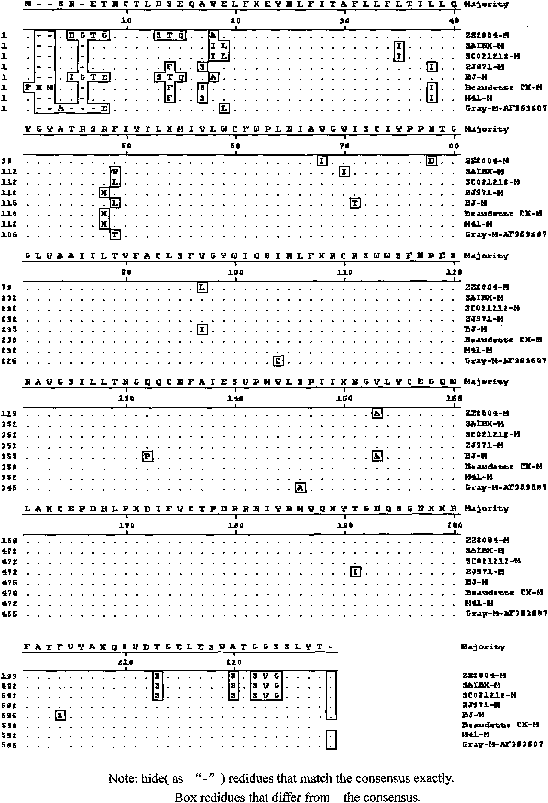 Duck source coronavirus M protein gene and cloning method and application thereof