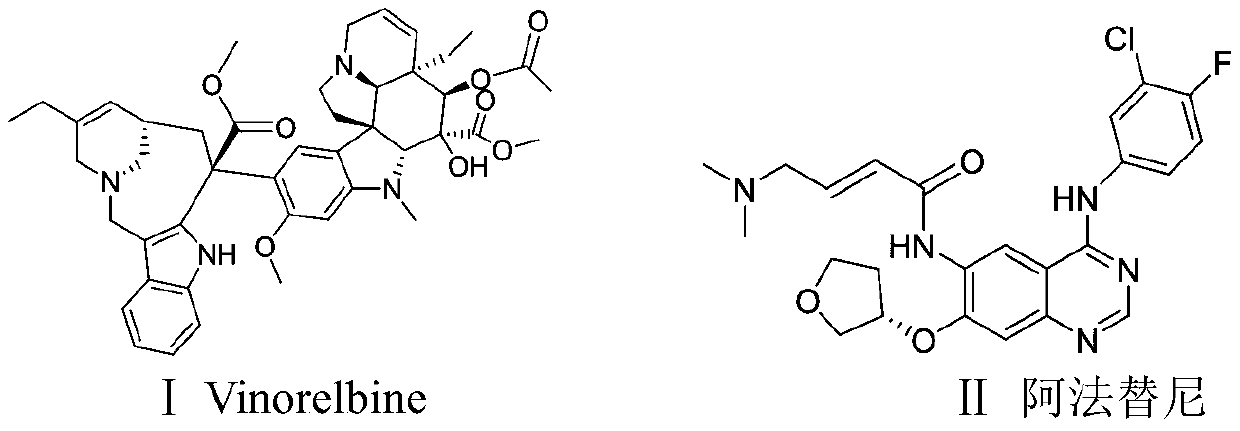 Anti-tumor drug composition, preparation and application