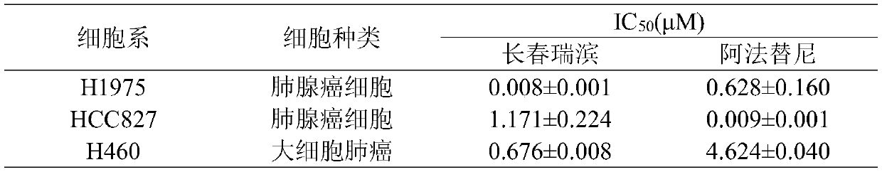 Anti-tumor drug composition, preparation and application