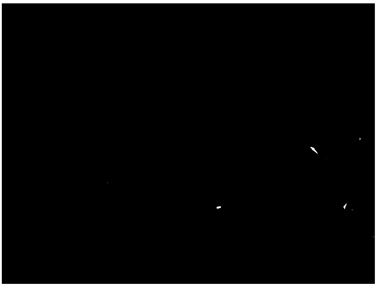 A method for simultaneous detection of ascorbic acid, dopamine, uric acid, tryptophan and nitrite