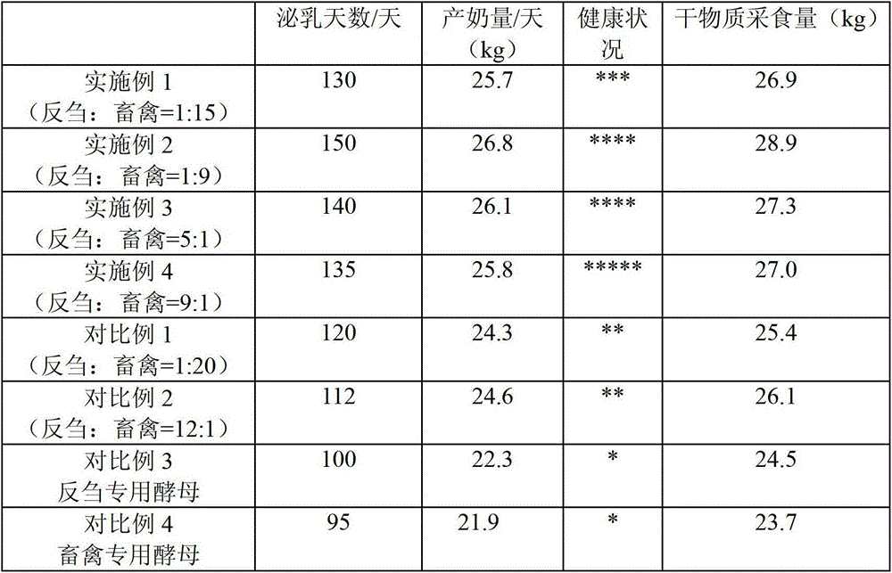 Compound yeast additive for dairy cattle feed and preparation method thereof