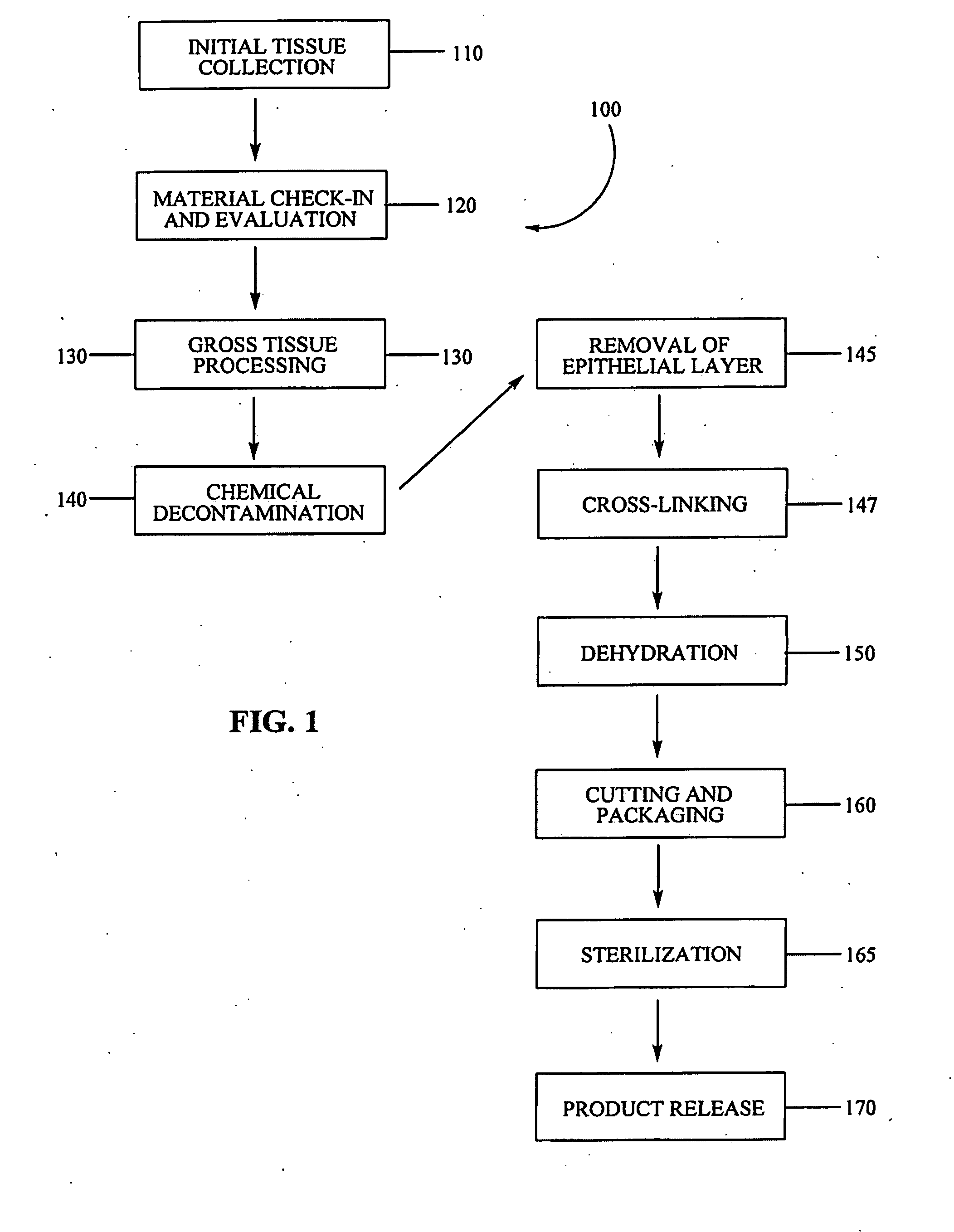 Placental tissue grafts modified with a cross-linking agent and methods of making and using the same