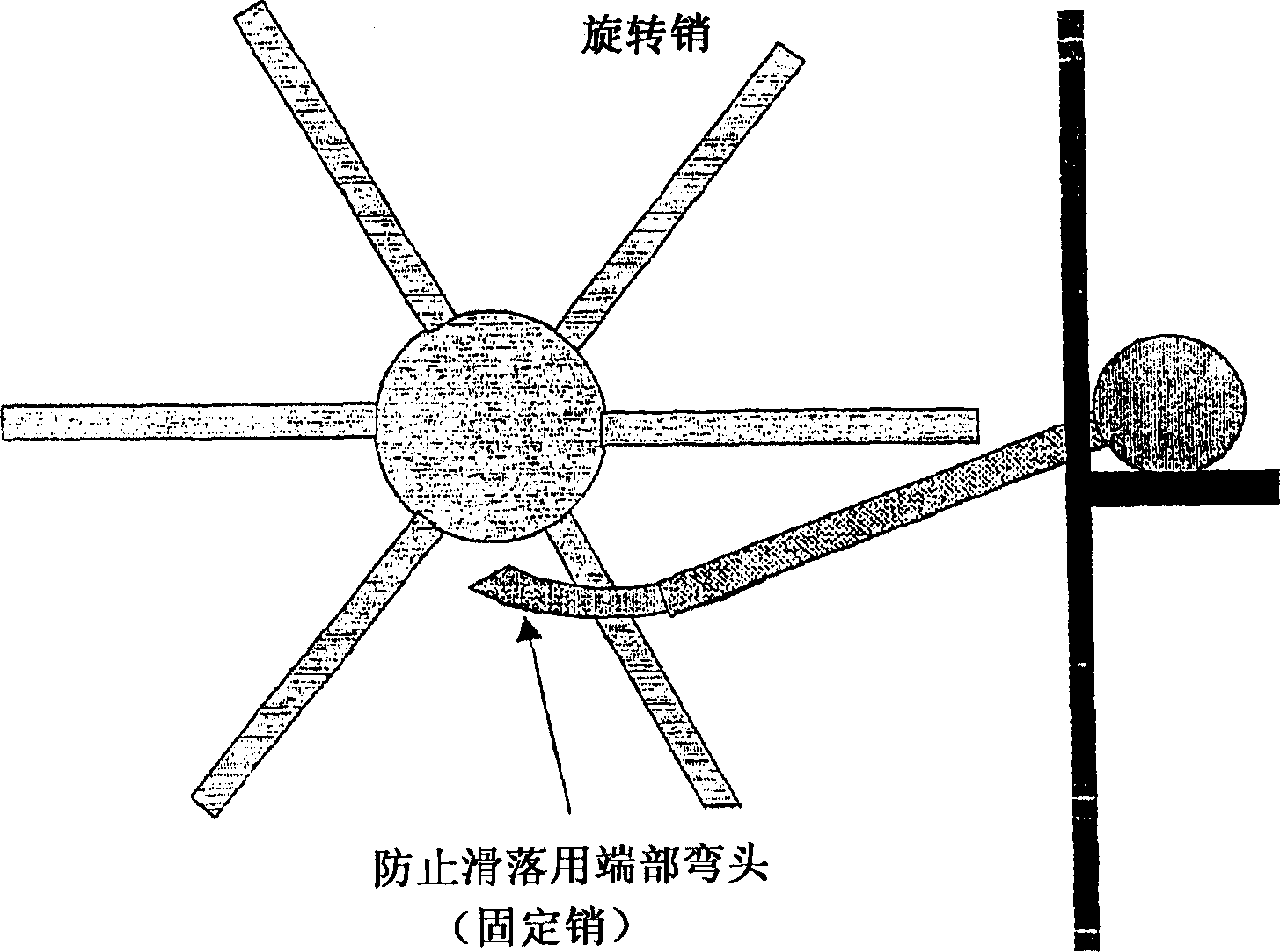 Process for producing dried fish