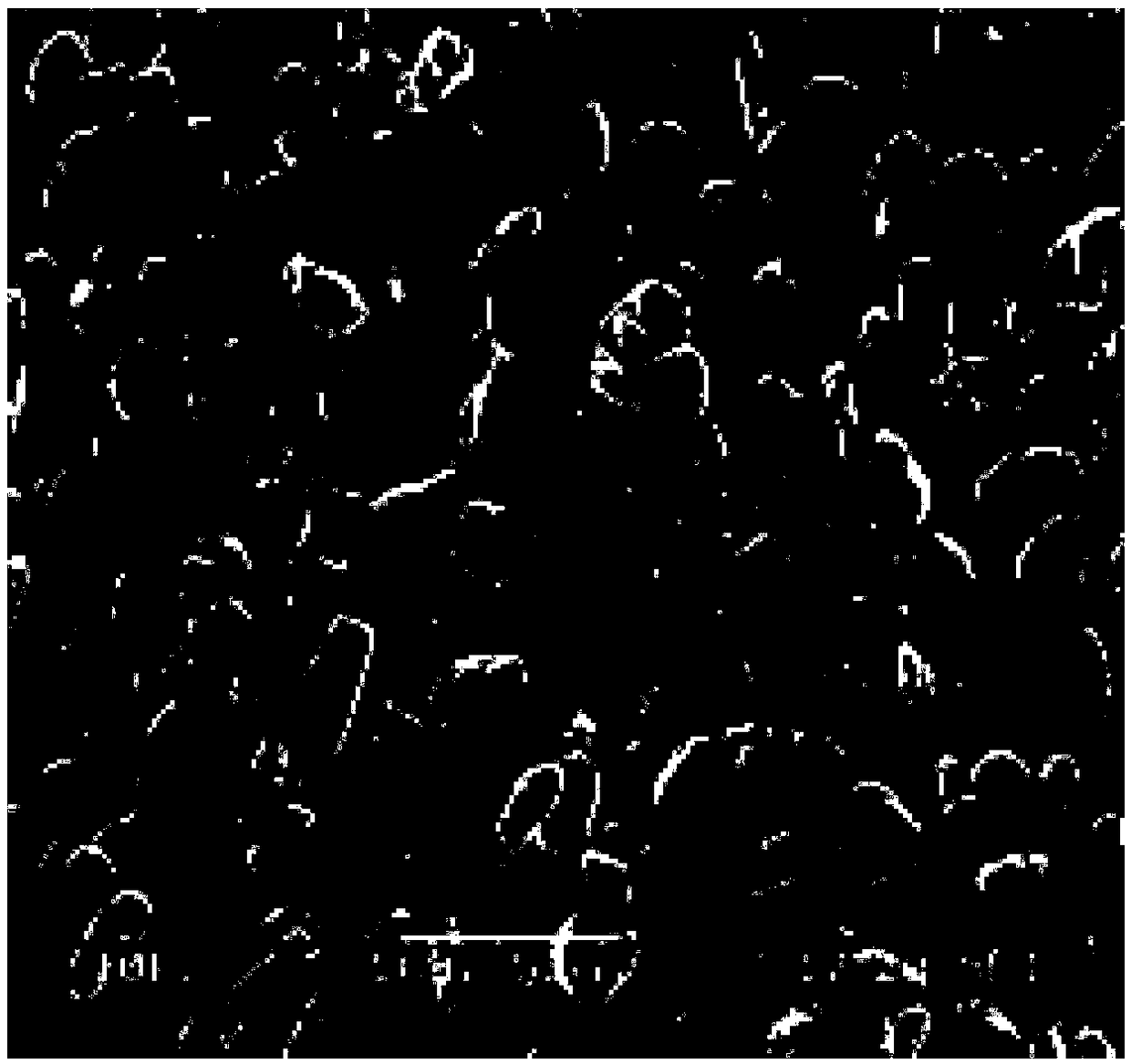 Preparation method of lithium ion battery composite negative electrode material, lithium ion battery composite negative electrode material and lithium ion battery