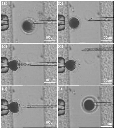 Roboticized somatic cell nuclear transfer operation method based on micro-channel