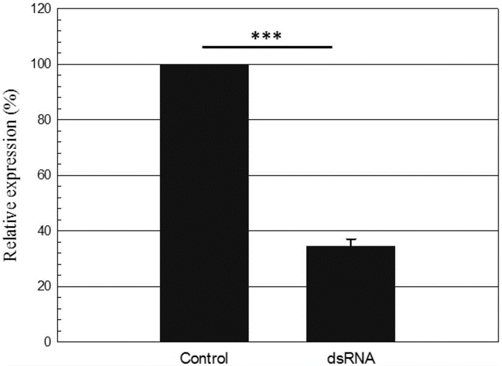 Method for gene function identification of orange panonychus citri