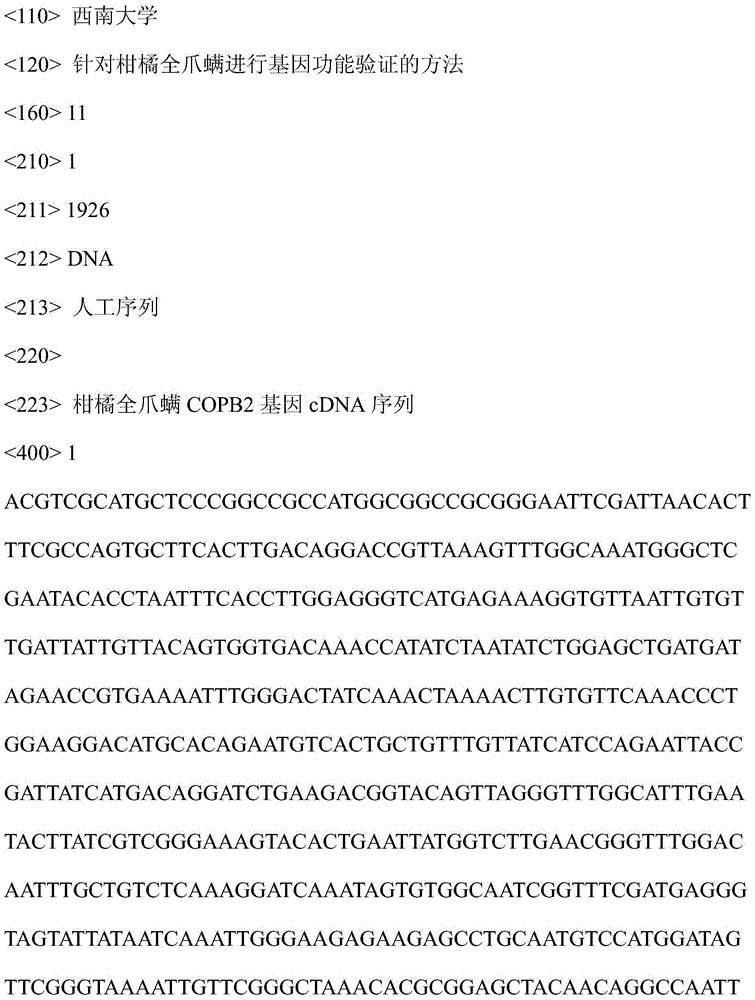 Method for gene function identification of orange panonychus citri